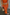 Thumbnail for Orange Sequin Dorris Skirt Petite