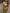 Thumbnail for Lime Sequin Slip Dress