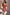 Thumbnail for caption_Model is 5ft7” and wears UK size 10/ US 6