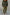 Thumbnail for Khaki Vegan Leather Trouser
