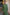 Thumbnail for Khaki Celia Plisse Dress