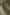 Thumbnail for Khaki Vegan Leather Trouser
