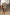 Thumbnail for caption_Model wears Brown Leopard Jaspre Skirt in UK 18 / US 14