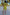 Thumbnail for  caption_Model is 5ft7” and wears UK size 8/ US 4
