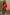 Thumbnail for caption_Model is 5ft4” and wears UK size 10/ US 6