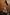 Thumbnail for Animal Tilly Dress Petite
