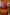 Thumbnail for NFD Eau De Parfum 002 ACL 2025-07-29 1933