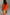 Thumbnail for caption_Model is 5ft7” and wears size M/L