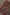 Thumbnail for Cherry Leopard Bandana