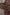 Thumbnail for Cherry Leopard Bandana