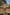 Thumbnail for caption_Model is 5ft7” and wears UK size 10/ US 6