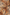 Thumbnail for Animal Tilly Dress