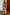 Thumbnail for Apricot Embellished Top