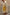 Thumbnail for Yellow Stripe Ashley Dress