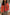 Thumbnail for caption_Model is 5ft7” and wears size M