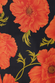 Black Poppy Aria Mesh Dress