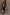Thumbnail for caption_Model is 5ft4” and wears UK size 6/ US 2