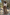 Thumbnail for caption_Model is 5ft7” and wears UK size 10/ US 6