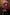 Thumbnail for caption_Model is 5ft5” and wears size M