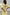 Thumbnail for caption_Model is 5ft7” and wears UK size 8/ US 4