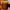 Thumbnail for NFD Eau De Parfum Candle 002