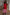 Thumbnail for caption_Model is 5ft7” and wears size M