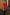 Thumbnail for caption_Model is 5ft3” and wears size M