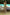 Thumbnail for caption_Model is 5ft7” and wears size S