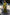 Thumbnail for caption_Model is 5ft7” and wears UK size 8/ US 4
