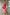 Thumbnail for caption_Model is 5ft7” and wears UK size 10/ US 6