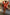 Thumbnail for caption_Model is 5ft4” and wears UK size 10/ US 6
