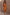 Thumbnail for caption_Model is 5ft4” and wears UK size 8/ US 4