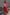 Thumbnail for caption_Model is 5ft7” and wears UK size 8/ US 4