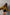 Thumbnail for caption_Model is 5ft7” and wears UK size 10/ US 6