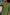 Thumbnail for Green Jacquard Harmony Dress Petite