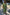 Thumbnail for Green Jacquard Harmony Dress Petite