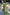 Thumbnail for Green Jacquard Harmony Dress Petite