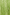 Thumbnail for Green Jacquard Harmony Dress
