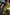 Thumbnail for caption_Model is 5ft10” and wears L
