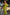 Thumbnail for caption_Model is 5ft10” and wears L