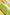 Thumbnail for Green Ombre Alba Dress