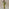 Khaki Eye Dorris Skirt