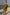 Thumbnail for caption_Model is 5ft4” and wears UK size 6/ US 2