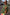 Thumbnail for caption_Model is 5ft5” and wears size M