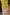 Thumbnail for caption_Model is 5ft9” and wears size S
