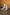 Thumbnail for Leopard Heel Boots
