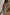 Thumbnail for caption_Model is 5ft7” and wears UK size 18/ US 14