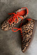 Leopard Pony Trainer