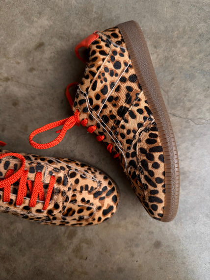 Leopard Pony Trainer