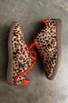 Leopard Pony Trainer